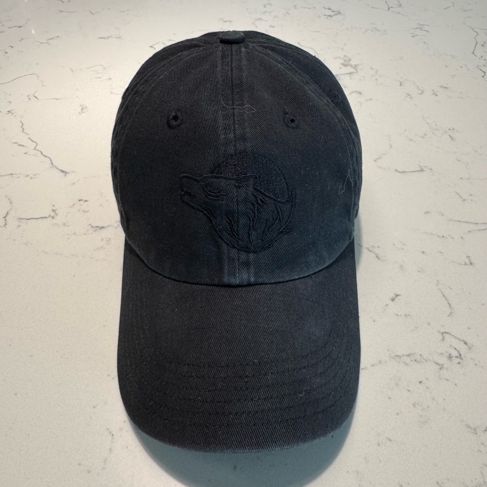 Men’s Spiritus Systems Dad hat
